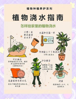 家居绿植养护误区，你避开了吗？